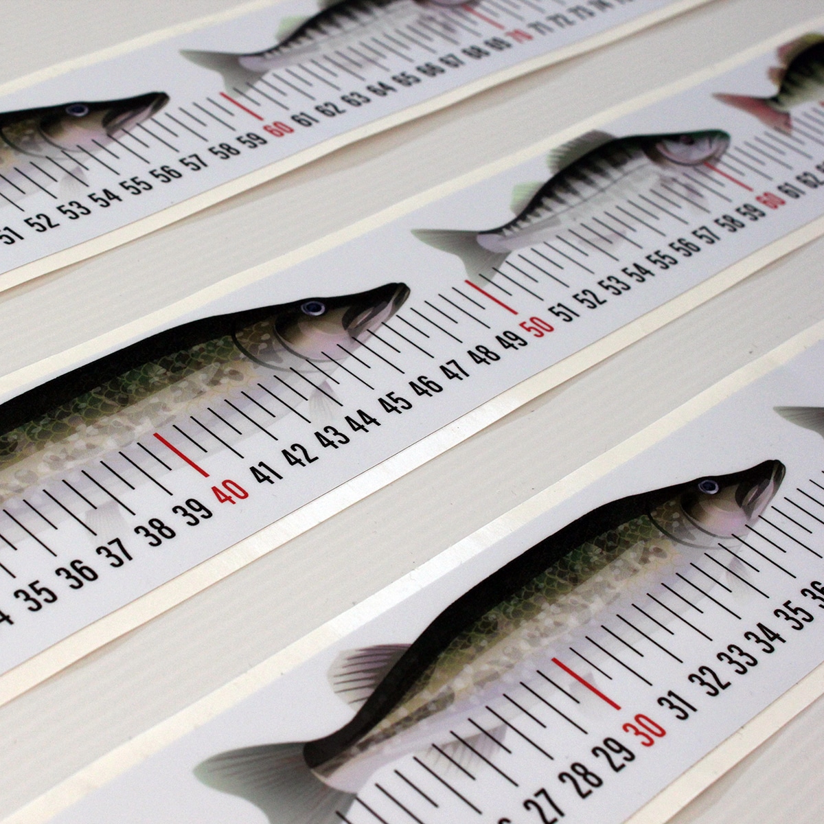 Kalamitta tarra 60-120cm - Image 3